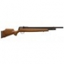 Crosman Benjamin Marauder 177